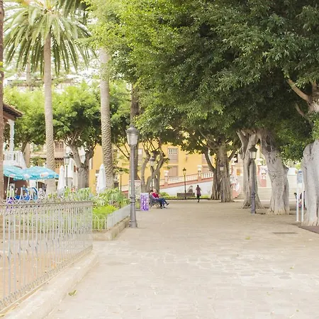 North Town *